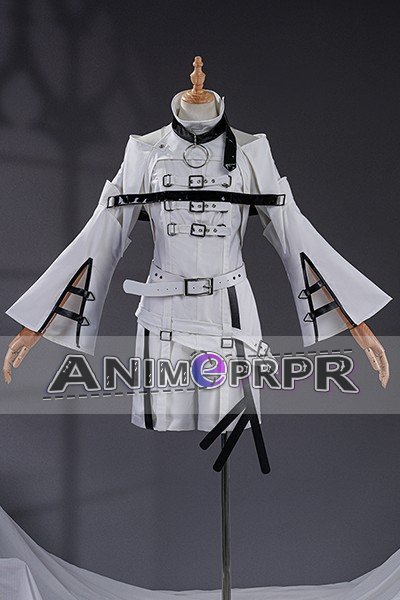 Dragon Raja Cassell Gate Zero Cosplay Costume
