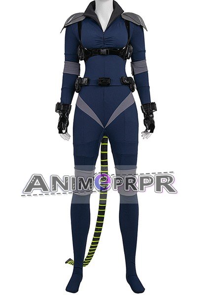 The Batman Catwoman Selina Kyle Suit Cosplay