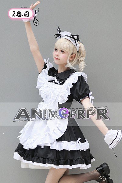 Japanese Akihabara Style Maid Cosplay